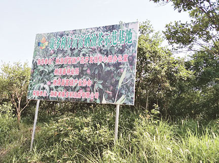 亿万28官网-不凡成绩非凡,相信品牌的实力