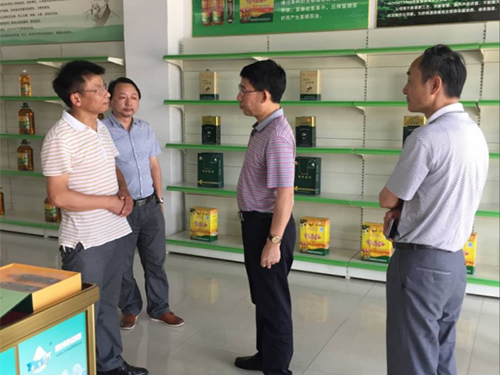 亿万28,油茶莳植生产加工销售,植物油莳植生产加工销售