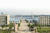 亿万28,油茶莳植生产加工销售,植物油莳植生产加工销售