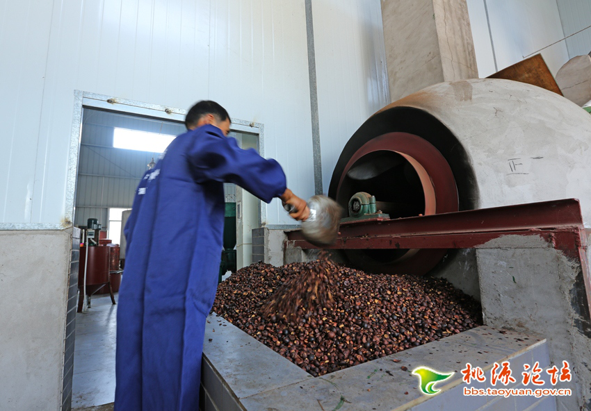 亿万28,油茶莳植生产加工销售,植物油莳植生产加工销售