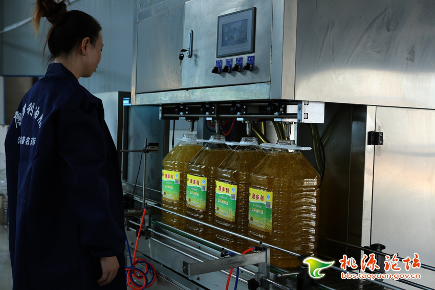 亿万28,油茶莳植生产加工销售,植物油莳植生产加工销售