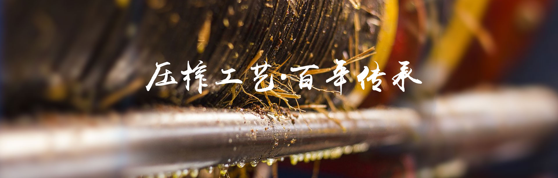 亿万28_油茶莳植生产加工销售|植物油莳植生产加工销售