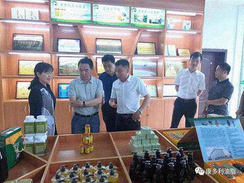 亿万28,油茶莳植生产加工销售,植物油莳植生产加工销售